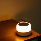 Sleep Aid Device with White Noise Generator